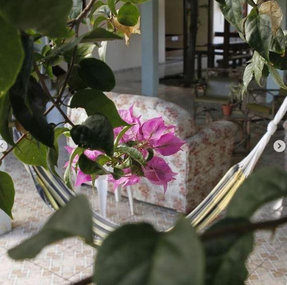 Hotel Pousada Guaypora Guarapari Esterno foto